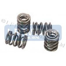 Valve spring set  For all  T120 T140 models
