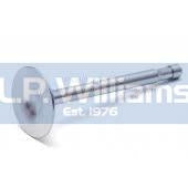 T120  T140 Exhaust valve 1963 on