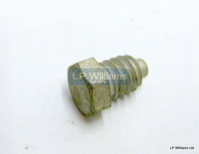 Locating bolt