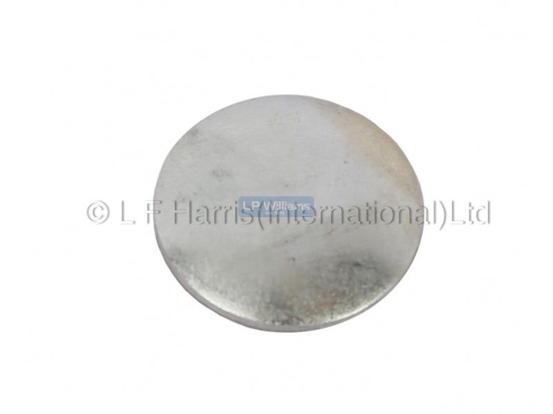 Blanking plug welch washer