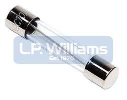 25 Amp glass fuse Rated 12.5 Amp continuous