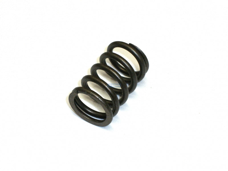 Trident inner valve spring