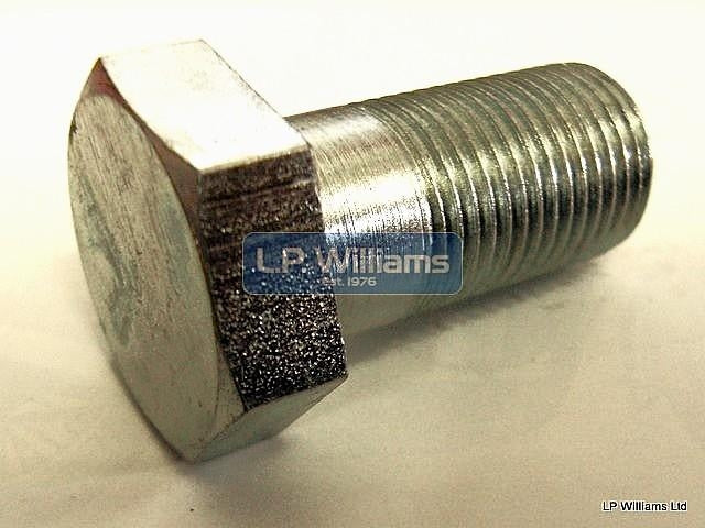 Swinging arm locking Bolt