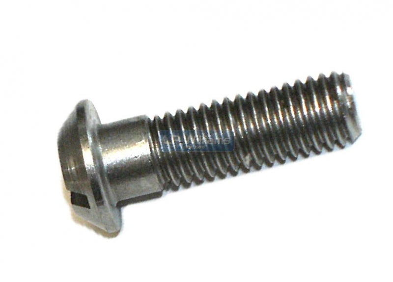 Crankcase screw CEI