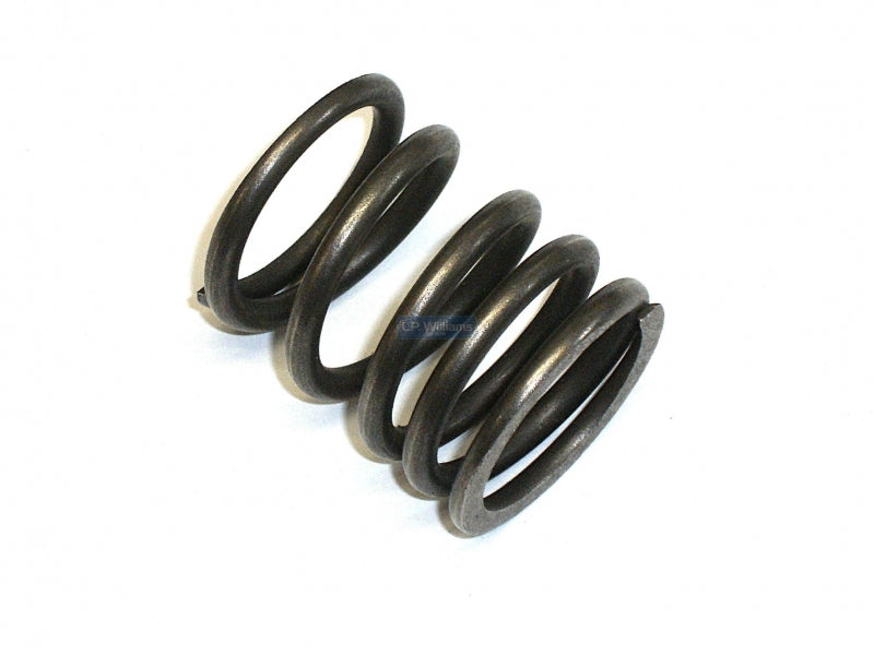 Trident outer valve spring