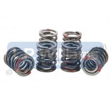 Valve spring set. For all T150 T160 A75 