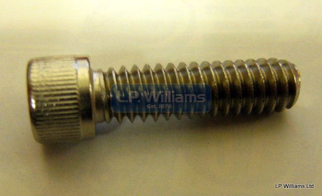 1/4 UNC x 7/8 Stainless Allen screw