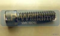 1/4 UNC x 7/8 Stainless Allen screw